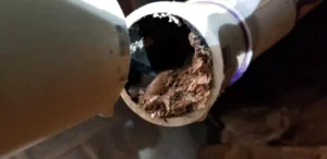 malos olores en el baño arqueta atascada