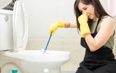 Malos olores en el baño: ¿hay problema de pocería?